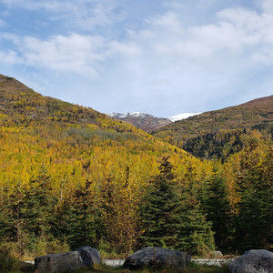 Meet your Posher, Jean